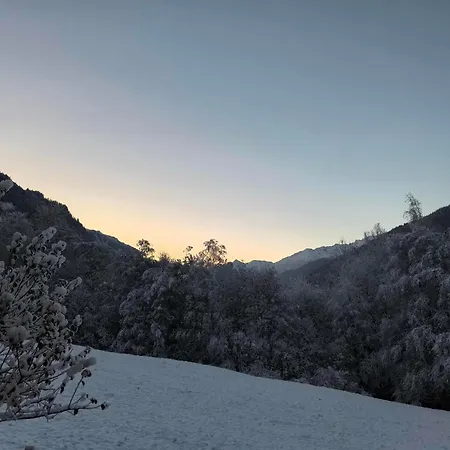 Appartement Biermeier Birgit