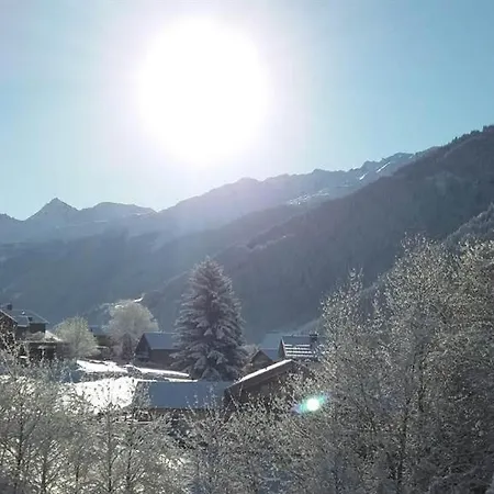 Biermeier Birgit Sankt Gallenkirch