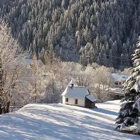 Biermeier Birgit Sankt Gallenkirch