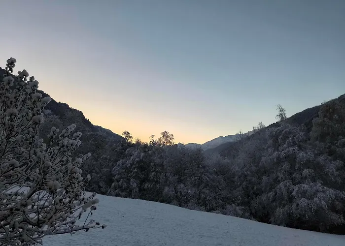 Apartment Biermeier Birgit
