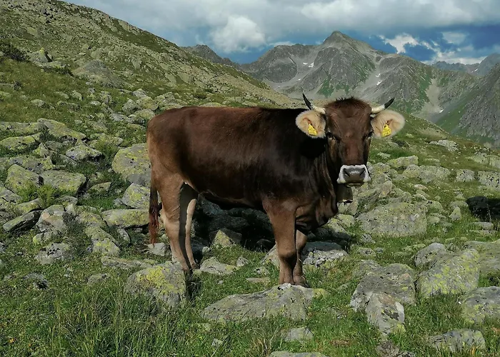 Biermeier Birgit Apartment