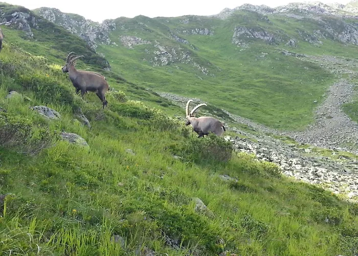 Apartment Biermeier Birgit *
